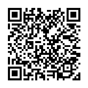 渔村里靠近教导连营地方向的枪声突然密集了起来二维码生成