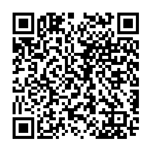 渔民们嘻嘻哈哈的跑下去开始跳入水中利用他们娴熟的水性拣掉落海底的枪支二维码生成