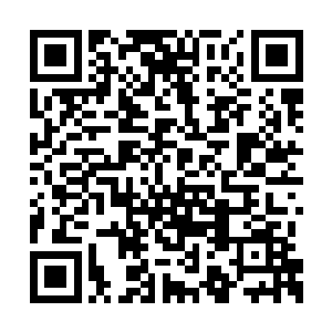 渗透进地下的乔乔也被方才那电磁炮的威力波及二维码生成