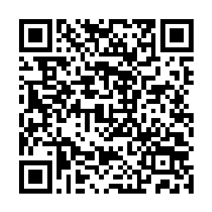 渡入人体的圣皇之力绝对不可能发挥出如此可怕的声势二维码生成