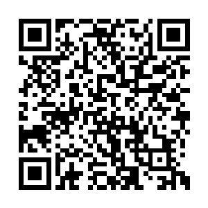 渡劫成功的法宝虽然只有他取出来的法宝的一成二维码生成