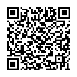 渡边家族最强的九个高手都死在了荆莫闲的剑下二维码生成