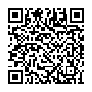 温兆华以四百万拍下了两个价值二十块钱的东西二维码生成