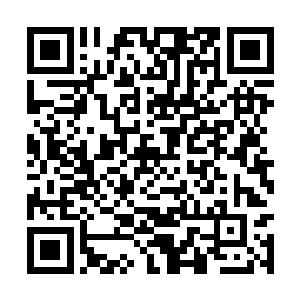 温声细语的向高台中挑选新人的修真者们收取费用二维码生成