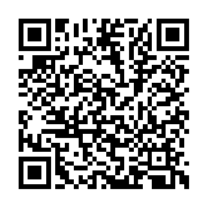 温怡已经牢牢的坐稳了芳菲雪厨房的第一把交椅二维码生成