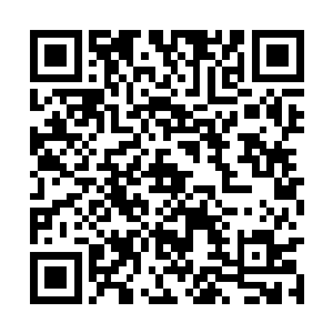 温文杰不会在第一时间将所有政府官员召集在一起二维码生成