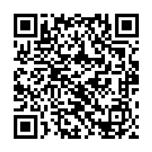 温晋王妃一张脸顿时难看的好似被人生生割了一块肉一样二维码生成