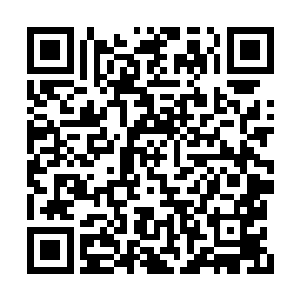 温桥府府军这几年也冒出了七八十个玄气期玄仙二维码生成