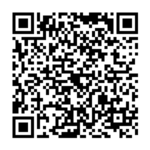 温热中夹带着丝丝冰冷这触感不像活人那么柔软反而会结实硬朗一些二维码生成