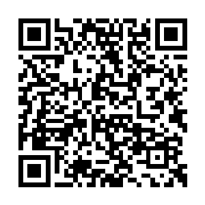 渭水战场之上派一个掌握了圣阶三昧的高手过去二维码生成