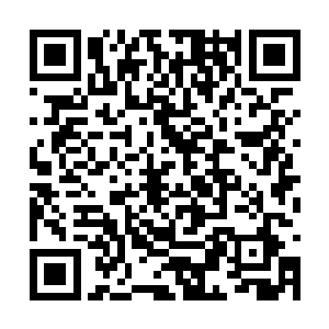 港澳台投资洽谈会在江都市会展中心正式拉开帷幕二维码生成