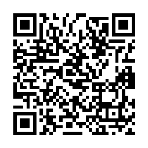 游图恩在不远处的走廊里听到后面会议室里的声音二维码生成