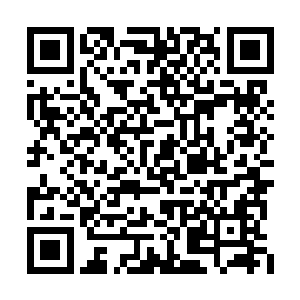 游戏继续新手一号礼包兜帽小披风的绿色紧身衣二维码生成