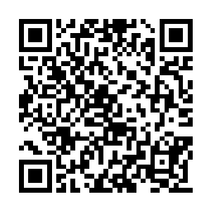 游木明自从上一次无意中看到古菲菲进登神路后二维码生成