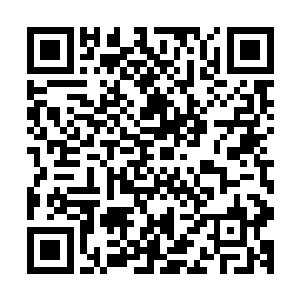 游走了一会儿后周围的狭窄突然一松一个小水潭出现在了眼前二维码生成