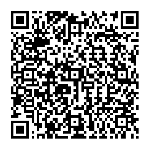 游魂一样在大坑周围蹒跚走路的西夏人无论如何看都看不出这些人曾经是是赫赫有名的铁甲军二维码生成