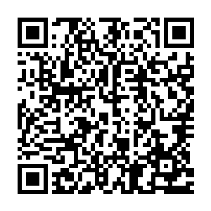 湖州一中的高三语文老师郑敏亮提着一包水果敲开了校长朱红军的家二维码生成