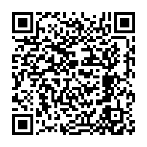 湖广总督张之洞以及现任的总理事务衙门总办大臣李鸿章都不干了二维码生成