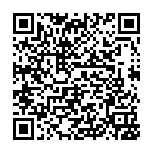 湖心水阁离岸边太远了她们根本就听不见王爷和王妃到底说了什么二维码生成