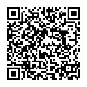 湖泊上面飘着的绿色的叶子还有水上顶着的或白或粉的花让凌菲看着十分的眼熟二维码生成