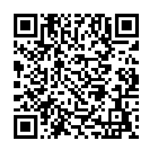 湖边就只剩下两人飘忽不定的残影和双剑相击的脆响二维码生成