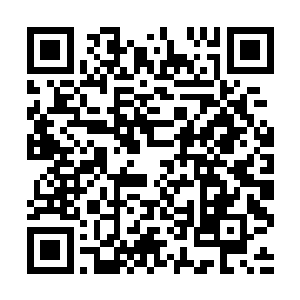 湛天丞就刻不容缓的给他的首席秘书tracy去了通电话二维码生成