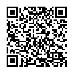 湛天丞笑着问不远处立在灶台前不知道在做什么的二维码生成