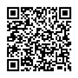 湮灭一切的虹光就无限制从天道石中扩散而好处二维码生成