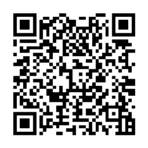 湾虾和花毛贝的救赎之果也同样在小树上摇曳生姿二维码生成