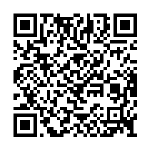 湾虾带来的是身体伤势的愈合与恢复能力的增强二维码生成