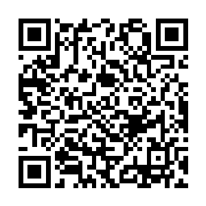 湿婆宗那边的人就不那么淡定了……那个挂掉的高手二维码生成