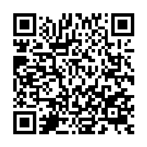 源源不断补充夏云杰因为镇压巫鼎上的符文而消耗的大量巫力二维码生成