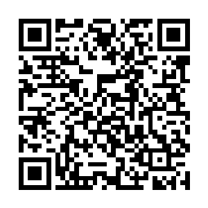 源自于那金佛的力量也开始仿佛受到了某种控制一样二维码生成