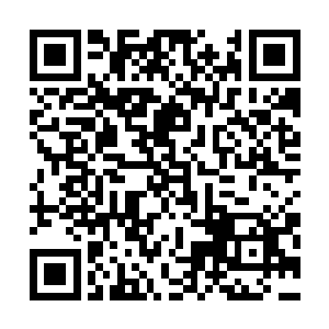 溜得时候还不忘厚着脸皮请Abel让司机把她送到有公车的地方二维码生成