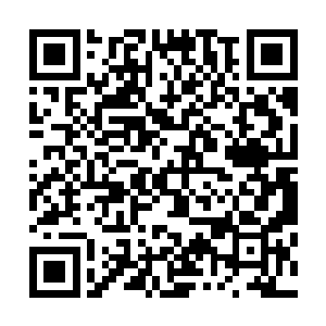 溟钊觉得这辈子所有耐性都耗在眼前这个幼稚的女孩儿身上二维码生成