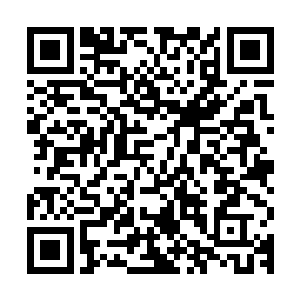 溢满了痛苦和忧伤的双眸呆呆的望着脚下那张从澳洲带过来的羊二维码生成