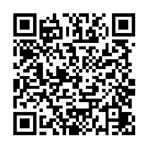 滋润着小腹气海虚空之中的那一团战气烈日……二维码生成