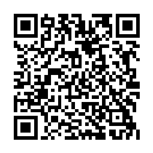 滔天的碾压力从四面八方向着微型宇宙作用而下二维码生成