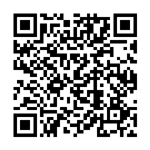 滚圆新鲜的荔枝像无限放大的红色泪珠滚向四面八方二维码生成