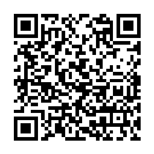 滚滚尸气立刻在他背上凝结出了一对新的黑色翅膀二维码生成