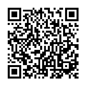 满仓的血色浓雾和边缘薄薄的一层碧绿妖力泾渭分明的互不干涉二维码生成