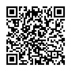 满嘴锋利地狗牙就这么将它肥硕地身躯给叼住了二维码生成