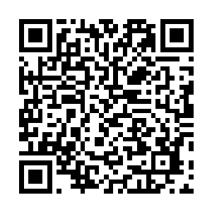 满头乌黑长发的圣堂总部长老王宁缓步进入到会议室当中二维码生成