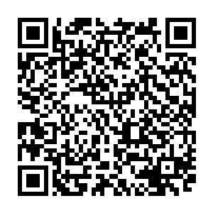 满头大汗的一边伸手够着头顶上距离她不远也是离她相对最近的一根树枝二维码生成