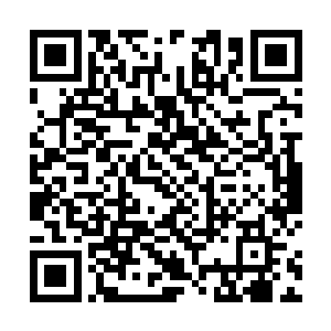 满心以为家主会答应他们条件的木潇和木洛闻言傻脸了二维码生成
