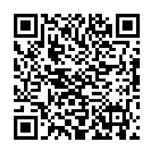 满打满算也就三个传奇――这还得算上据说是路过的罗宾二维码生成
