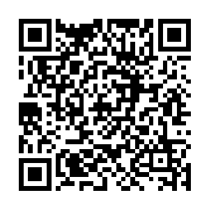 满是硝烟的土地上瞬时出现了各种各样种族各异的恐龙二维码生成