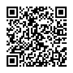 满月宴上迫使族老不得不对外承认小少爷的身份二维码生成