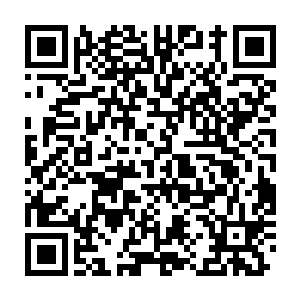 满满的都是林烽和罗卿卿在一起这十几年青梅竹马的每一丝的记忆二维码生成