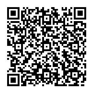 满脸不可置信的望着袭向自己两个人的攻击对视一眼都从对方的眼中看到了一抹惊骇的神二维码生成